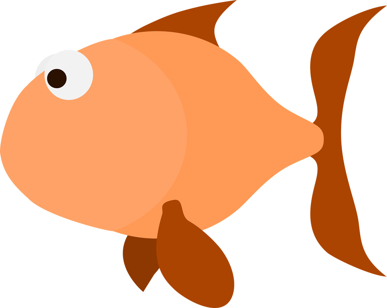 Scared Goldfish