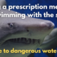 Photo of a shark. Caption reads "filling a prescription means swimming with the sharks. A guide to dangerous waters."